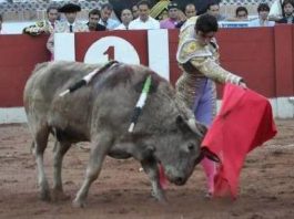 Miguel A. Perera en San Cristóbal. (FOTO: Jorge Cepeda/Burladero.com)